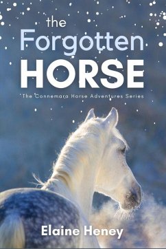 Cover The Forgotten Horse (Connemara Horse Adventures, #1) (eBook, ePUB)