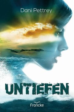 Untiefen (eBook, ePUB) - Pettrey, Dani