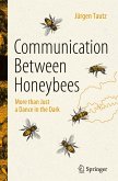 Communication Between Honeybees