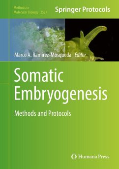 Cover Somatic Embryogenesis