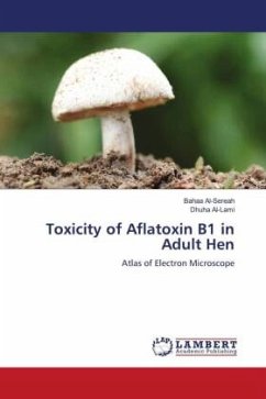 Toxicity of Aflatoxin B1 in Adult Hen