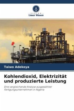 Kohlendioxid, Elektrizität und produzierte Leistung - Adekoya, Taiwo