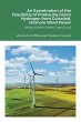 An Examination of the Feasibility of... - Bild 1