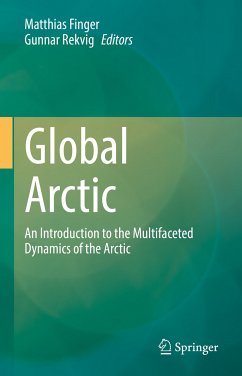 Global Arctic (eBook, PDF)