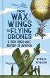 From Wax Wings to Flying Drones - Bild 1