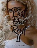 Past Due Rent II (eBook, ePUB)