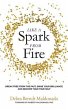 Like a Spark From Fire (eBook, ePUB) - Bild 1