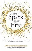 Like a Spark From Fire (eBook, ePUB)