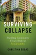 Surviving Collapse - Bild 1