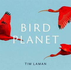 Bird Planet - Laman, Tim