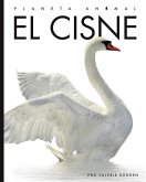 El Cisne