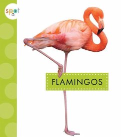 Flamingos - Amstutz, Lisa