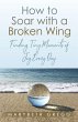 How to Soar With a Broken Wing - Bild 1