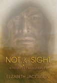 Not By Sight: A Novel of the Patriarchs