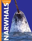 Curious about Narwhals