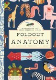 Foldout Anatomy