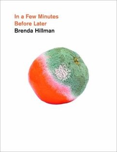 In a Few Minutes Before Later - Hillman, Brenda