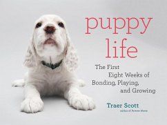 Puppy Life - Scott, Traer