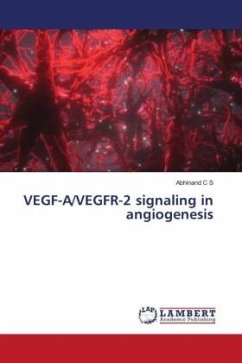 VEGF-A/VEGFR-2 signaling in angiogenesis