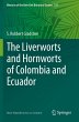 The Liverworts and Hornworts of... - Bild 1