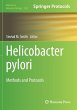 Helicobacter Pylori - Bild 1