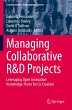 Managing Collaborative R&D Projects - Bild 1