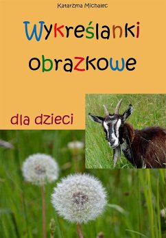 Wykreślanki obrazkowe dla dzieci (eBook, PDF) - Michalec, Katarzyna