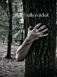 A Fallen Idol (eBook, ePUB) - Bild 1