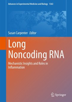 Long Noncoding RNA (eBook, PDF)