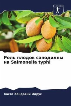 Rol' plodow sapodilly na Salmonella typhi - Idrus, Hasta Handaqni