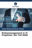 Risikomanagement in IT-Projekten: Der Fall IRAN