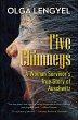 Five Chimneys (eBook, ePUB) - Bild 1