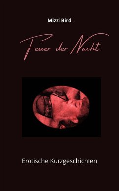 Feuer der Nacht (eBook, ePUB)