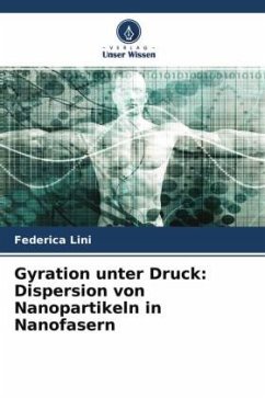 Gyration unter Druck: Dispersion von Nanopartikeln in Nanofasern - Lini, Federica