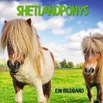 Shetlandponys