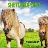 Shetlandponys