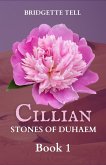 Cillian: Stones of Duhaem (eBook, ePUB)