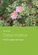 Cistus incanus - Bild 1