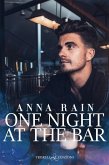 One night at the bar (eBook, ePUB)