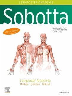 Sobotta Lernposter Anatomie