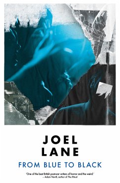 From Blue to Black (eBook, ePUB) - Lane, Joel