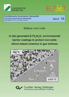 In situ generated ß-Yb¿Si¿O¿ environmental barrier coatings to protect non-oxide silicon-based ceramics in gas turbines - Lenz Leite, Mateus