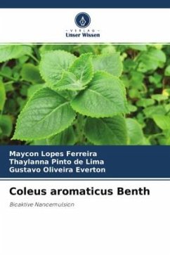 Coleus aromaticus Benth - Ferreira, Maycon Lopes;de Lima, Thaylanna Pinto;Everton, Gustavo Oliveira