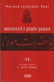 Mesnevi-i Serif Serhi Cilt 12
