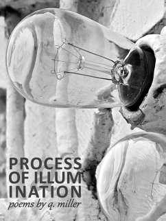 A Process of Illumination (eBook, ePUB) - Miller, Q.