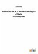 Bollettino del R. Comitato Geologico... - Bild 1