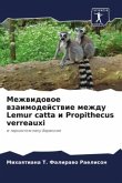 Mezhwidowoe wzaimodejstwie mezhdu Lemur catta i Propithecus verreauxi