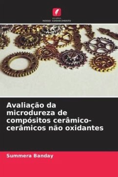 Avaliação da microdureza de compósitos cerâmico-cerâmicos não oxidantes - Banday, Summera