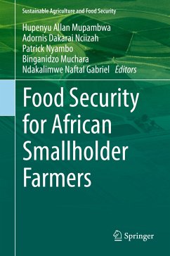 Food Security for African Smallholder Farmers (eBook, PDF)