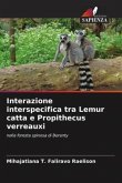Interazione interspecifica tra Lemur catta e Propithecus verreauxi
